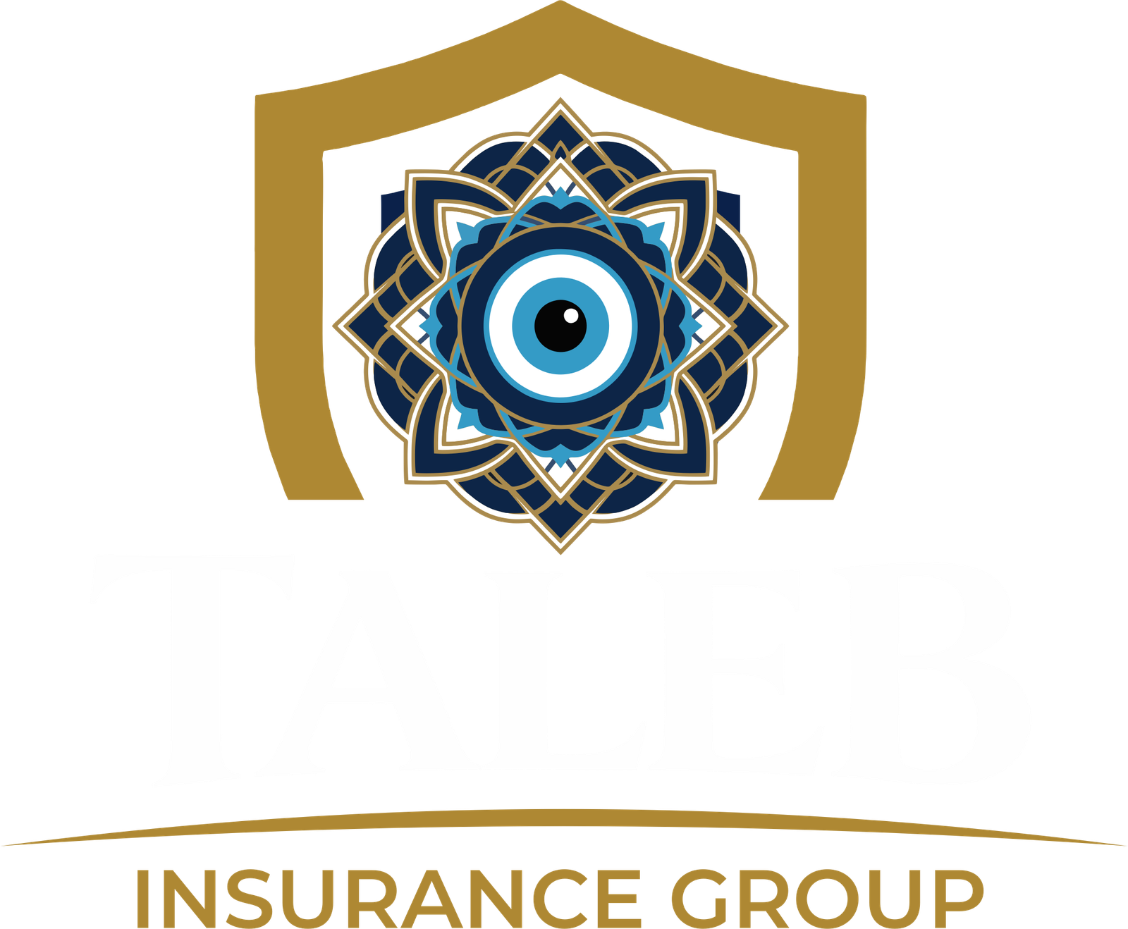 Taleb Insurance Group